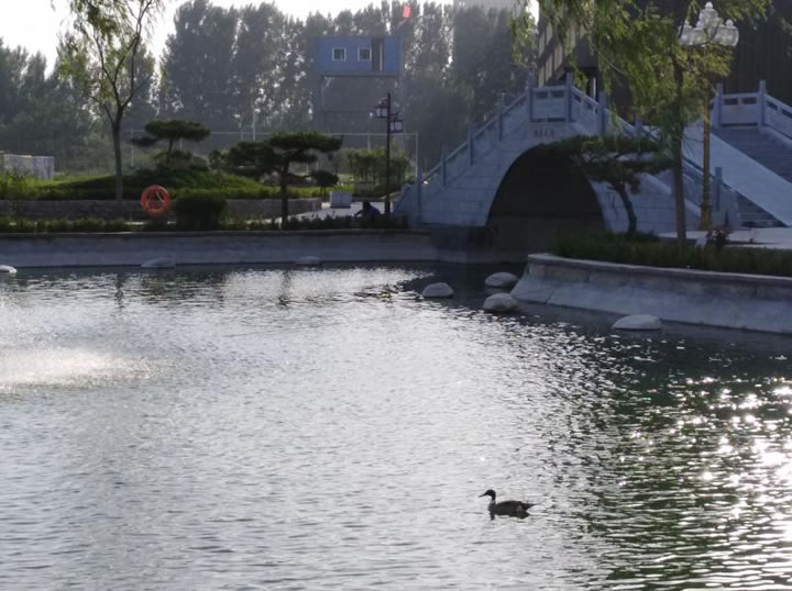 圖1 國泰湖暮色-質保部鄭穎飛