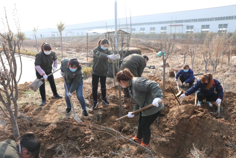 綠化國(guó)泰 美化人生-國(guó)泰科技組織義務(wù)植樹(shù)活動(dòng)
